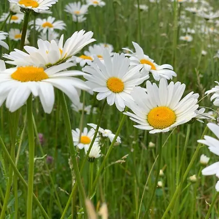 Tinden Apartamento Hemsedal